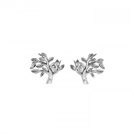 Hot Diamonds Tree of Life Earrings