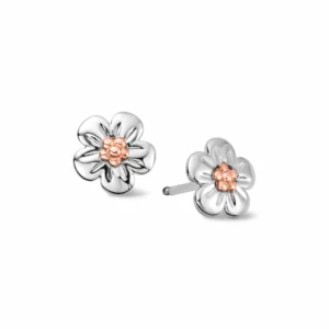 Forget Me Not Silver Stud Earrings - 3SFMN0621