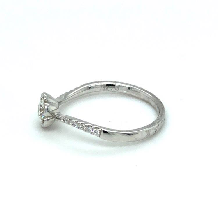 127228018_3791748544209530_3536154504234876154_n